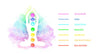 } - Collagen Lift Collagen Lift EUPHORIA CHAKRA NATURAL OIL - Τα πιο δυνατά έλαια στον κόσμο! Collagen Lift